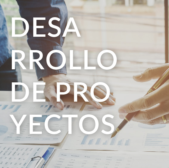Desarrollo de proyectos